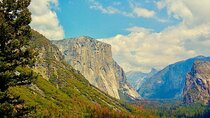Private Day Tour to Yosemite National Park