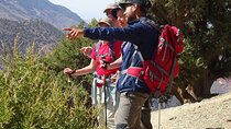 Atlas Mountains : Ourika Valley Day Trip from Marrakech