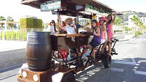 Shared Valencia Beer Bike Tour