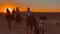 Marrakech Camel Ride and Traditional Dinner in Agafay Desert