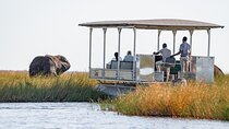 3 Days Camping Safari in Chobe National Park From Victoria Falls