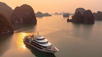 Luxury Halong Bay Day Cruise with Sea Octopus From Ha Long city