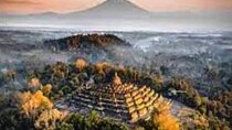 Yogyakarta-Bromo-Ijen Blue Fire Trek-Bali-All Entrance Included 