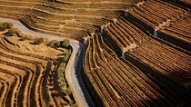 4×4 Douro Wine Tasting Private Tour