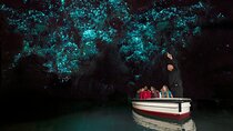 Auckland to Rotorua via Waitomo Caves One-Way Private Tour