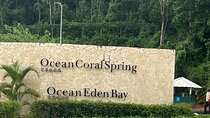 Montego Bay Ocean Coral Spring/Eden Bay Private Airport Transfer