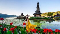 Northern Side of Bali Private Day Tour 