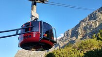 Table Mountain Boulder's Beach and Cape Point Tour