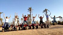 Quad and camel in the palm grove of Marrakech