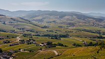 Beaujolais Private Day Tour with Tastings from Lyon