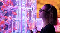 Tokyo Art Aquarium Museum E-Ticket with optional Tokyo Metro Pass