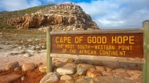 Full day Cape Point and African Penguins Private Tour