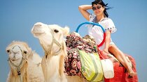 Camel Riding Adventure through the Forest & River – Agadir