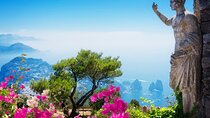 Capri Island Private Tour From Rome