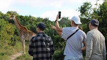 Giraffe Tracking 4x4 Safaris