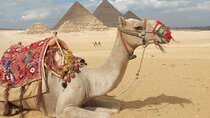 Complete Adventure in Giza: Pyramids, Camel & Quad ATV, dinner..