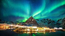 Reykjavik Private Northern Lights Tour - Aurora Hunting Made Easy
