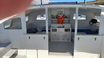 Catamaran private charter