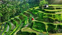 Private Full Day Tour in Ubud 