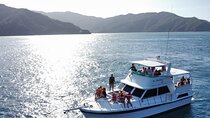 Al Tayrona yacht experience