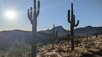 Guided Hike: Desert Copper Mile