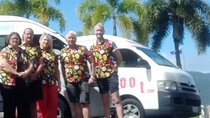 PRIVATE TRANSFER Cairns Airport <> Port Douglas Minibus (6am-5pm)