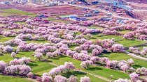 13 Day Nyingchi Peach Blossom Festival Tour
