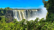 Guided Tour of the Victoria Falls 
