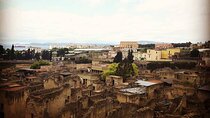 Private Tour Pompeii and Sorrento from Naples