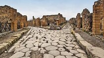 Private Day Tour from Rome to Pompeii and Taste of Wine