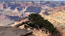 Grand Canyon Luxury Car Tour Experience