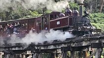 Puffing Billy and The Dandenong Ranges Private Experience