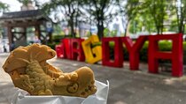 Nagoya Highlights & Street Food Walking Tour [small group]