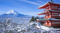 Private 1 Day Round Trip Tour from Tokyo to Mount Fuji