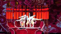 Beijing Acrobatic Show Tickets in Red Theater
