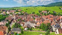 Alsace and Germany Full Day Private Wine Tour from Strasbourg