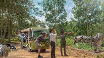 Safari Valley Eco Resort Day Tour with Activities