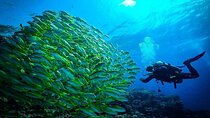 Full-Day Red Sea Cruise with Diving & Lunch In Hurghada