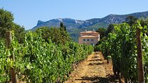 Two intensive days discovering the exceptional wines of Provence