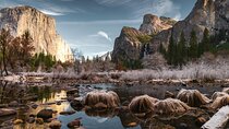 Yosemite National Park 2-Day Winter Tour from San Francisco