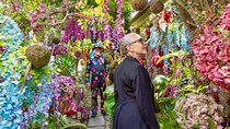 San Francisco Gregangelo Museum - Immersive Art Garden Tour 