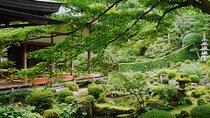 Arashiyama Sanzen-In Temple & Sagano Train Tour from Osaka