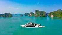 Halong Bay Day Tour : Premium Experience with Sea Octopus Cruise
