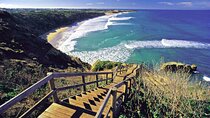 Great Ocean Road 12 apostles PRIVATE Luxury Tour 5 PAX all incl.