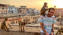 Jaipur Full Day Sightseeing Tour by Car