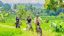 Countryside Cycling Tour From Sigiriya, Dambulla & Habarana