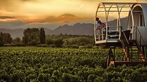 Wine and Wellness at Entre Cielos Spa Experience in Mendoza 
