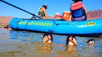 Colorado River Rafting: Half-Day Morning at Fisher Towers