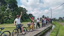 Explore Rice Fields and Hidden Villages with Ubud E-Bike Tour