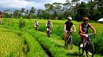 Kintamani Downhill Cycling Adventure